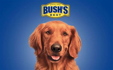 did the bush bean guy die|The Dog Who Played Duke In The Bushs Baked。